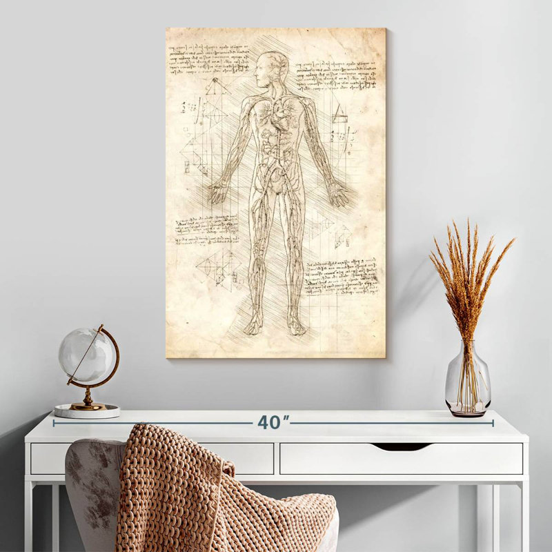 Keiri Human Circulatory System, 30" H x 20" W