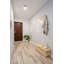 Sullivan Street Glass Flush Mount-121928254-121928242-62184507