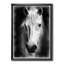 Farmhouse Horse I - reproduction d'art sur toile-51145445-51145453