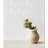 Kyoto 6 in. x 6 in. Ceramic Wall Tile (13.88 Sq. Ft. / Case)-119971549