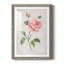 Grandiflora I - peinture encadrée-767280251-767280254