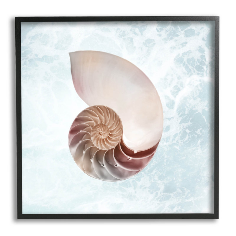 Aquarelle, Nautilus, spirale, coquillage, estampe numérique par Marcus Prime, Giclée encadrée noir minuit