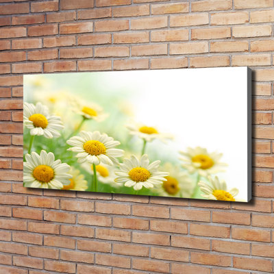 Daisies - No Frame Print on Canvas