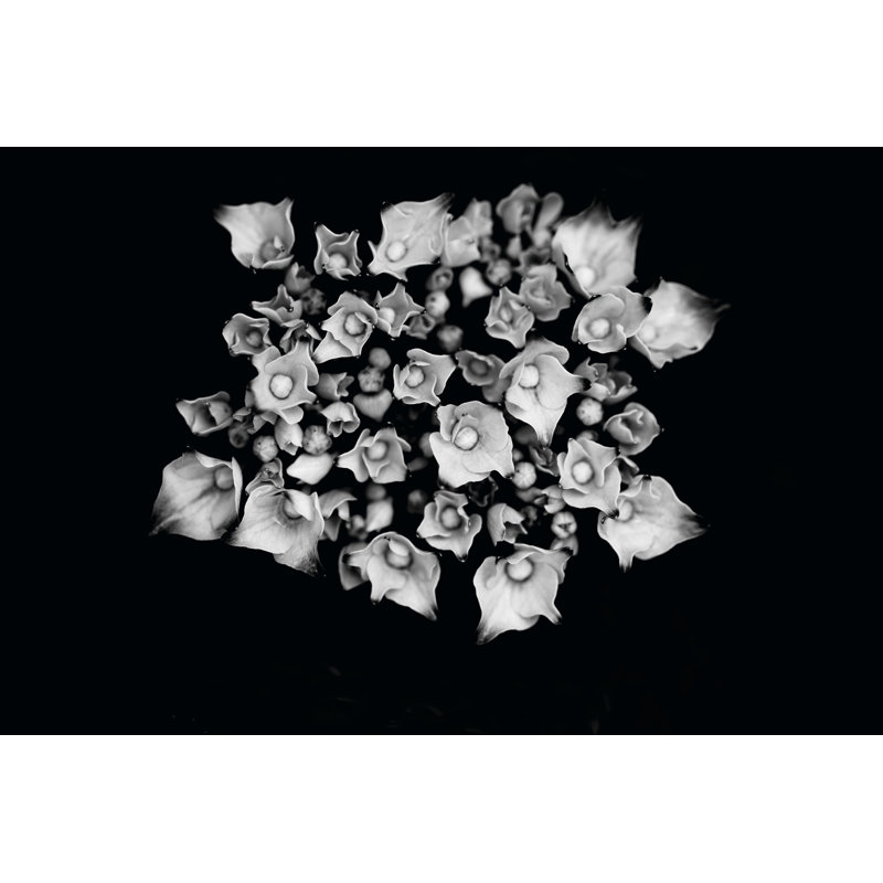 Playing Smart I by Tang Ling - No Frame Print on Canvas, 30cm H x 46cm W x 3.8cm D