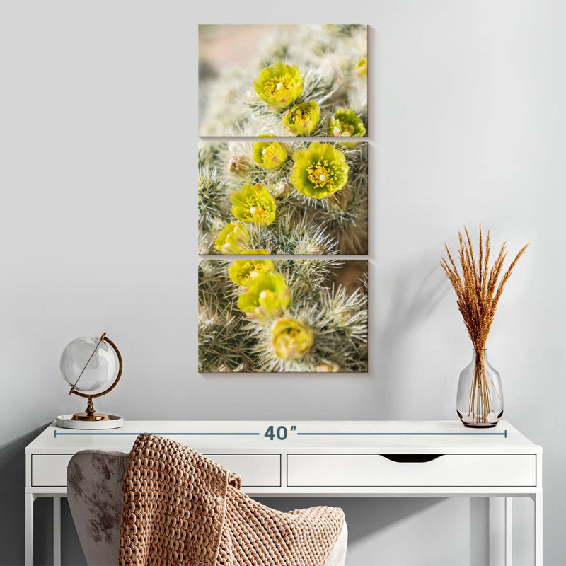 Cholla cactus, H 32 po x l 15 po