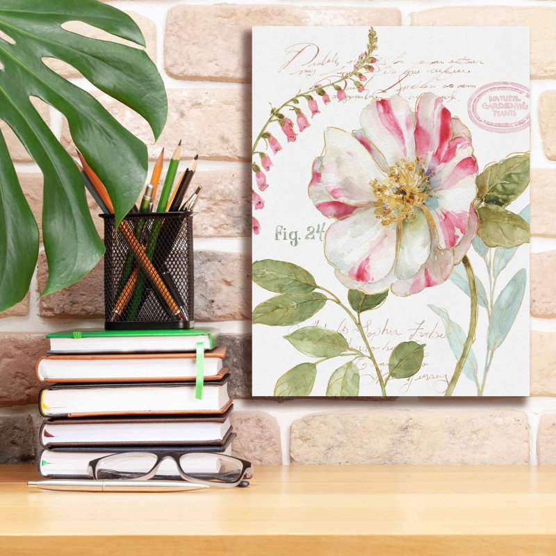 «Rainbow Seeds Botanical II» par Lisa Audit, art mural sur toile, H 16 po x l 12 po x P 0,75 po