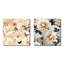 Maisons - Ensemble de 2 collages carrés floraux-101853750-101853752