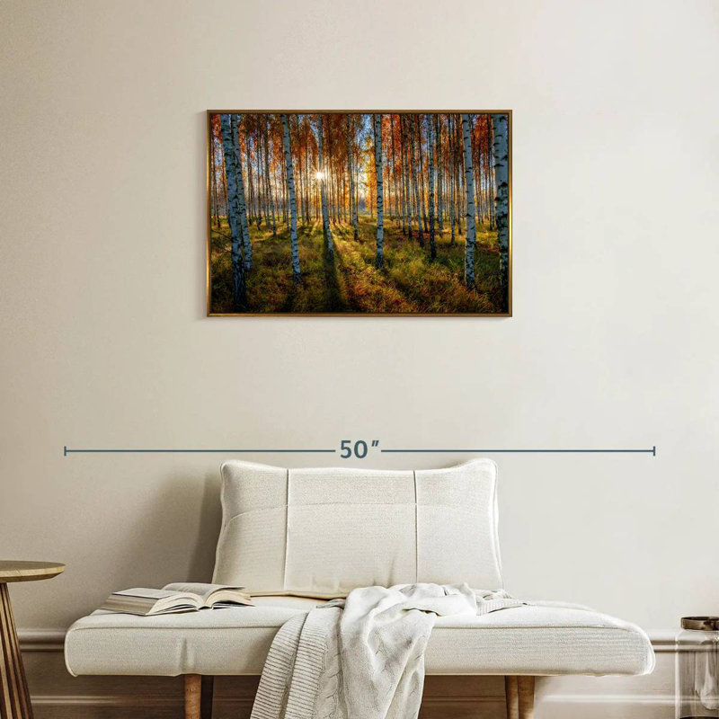 Forêt de bouleaux suédois, Cadre flottant doré, 31 po x 21 po
