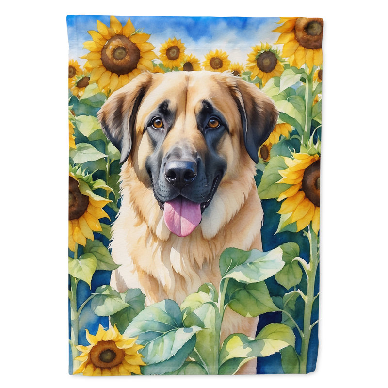 Drapeau de la maison du tournesol Malamute d'Alaska, Berger d'Anatolie