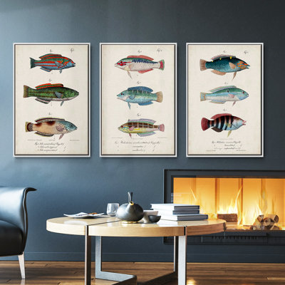 Antique Fish Trio I, ensemble de 3 toiles encadrées sur toile