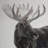 Grayscale Moose Profile - Rustic Metal Print for Home Decor