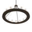 16 - Light Chandelier