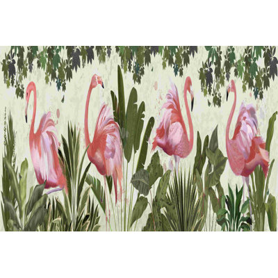 Flamants duveteux