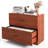 Bertenshaw 35.5'' Wide 2 -Drawer File Cabinet-1807607858