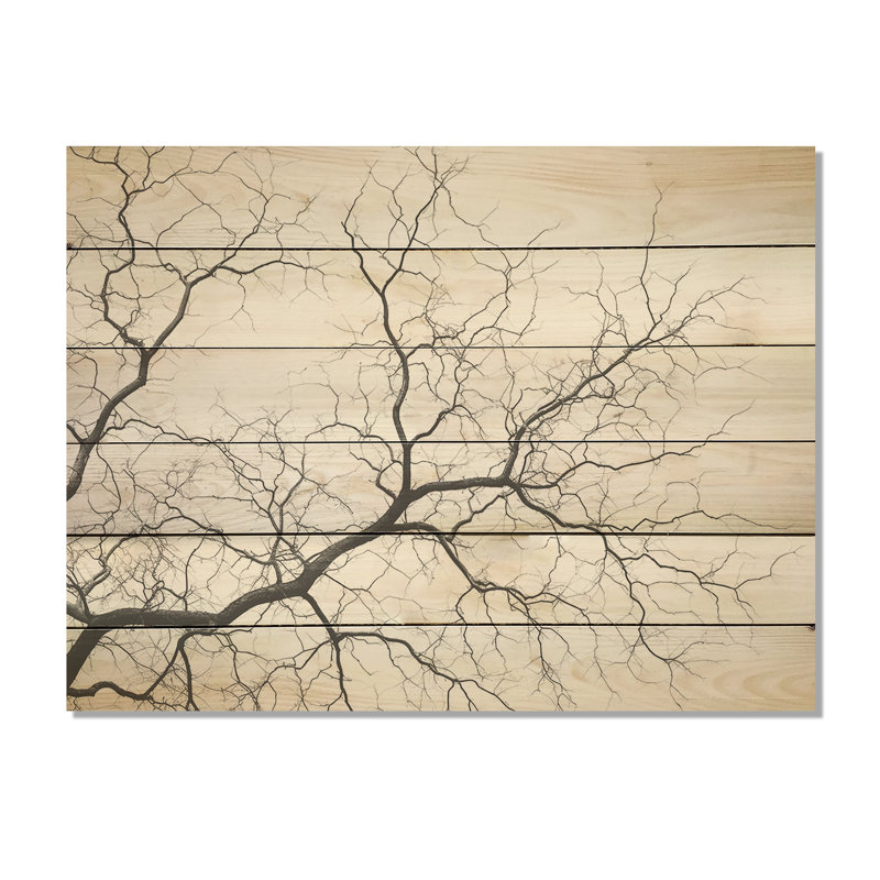 «Monocrhome Sycamore Tree Solitude», art mural panneau de bois de sycomore sur bois de pin naturel, H 10 po x l 20 po