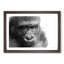 Gorilla with Brown Eyes in Abstract - Picture Frame Graphic Art Print-55735688-55735689