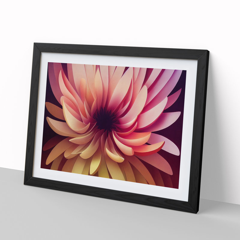 Alluring Chrysanthemum Flower - Single Picture Frame Print, 25cm H x 34cm W x 2cm D, Black