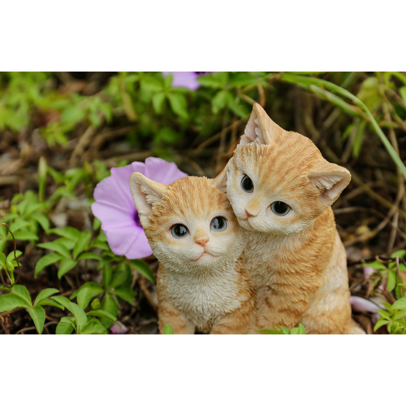 Kittens Hugging, Orange