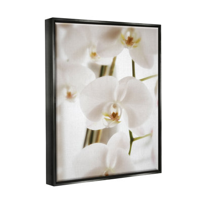 " Elegant White Orchid Petals " by Savanah Plank