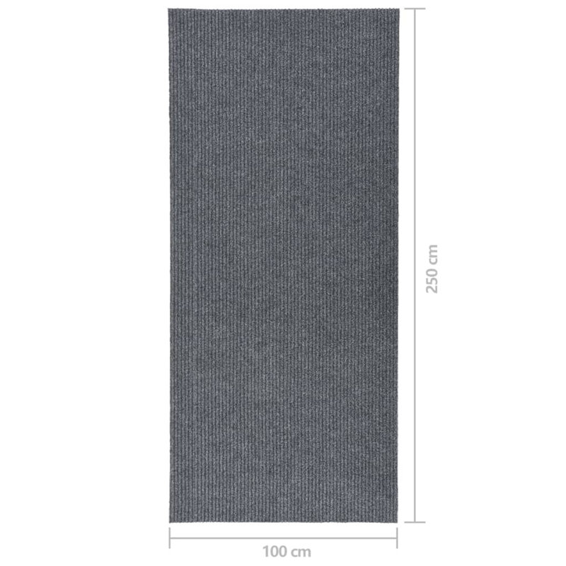 Bodmar cm Area Rug, Runner 100 x 250cm