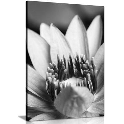 Flower Close Up - Wrapped Canvas Print
