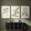 Antique sépia botanicals I - impression encadrée sur mesure de qualité supérieure - 3 pièces