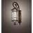 Caprice Steel Armed Sconce