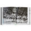 Sneakers: The Classics Leather Bound Special Edition Coffee Table Book