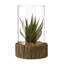 Sprague Succulent in Stone Jar-32124294-32124298