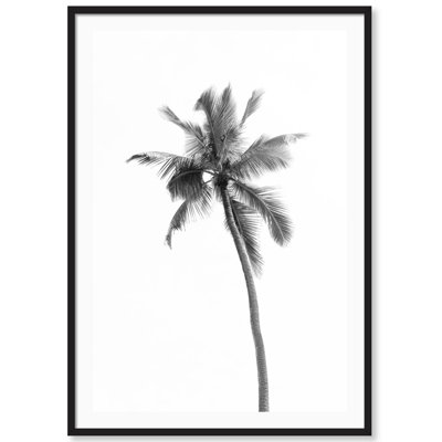 Carly Tabak " Hawaiian Palm " by Carly Tabak