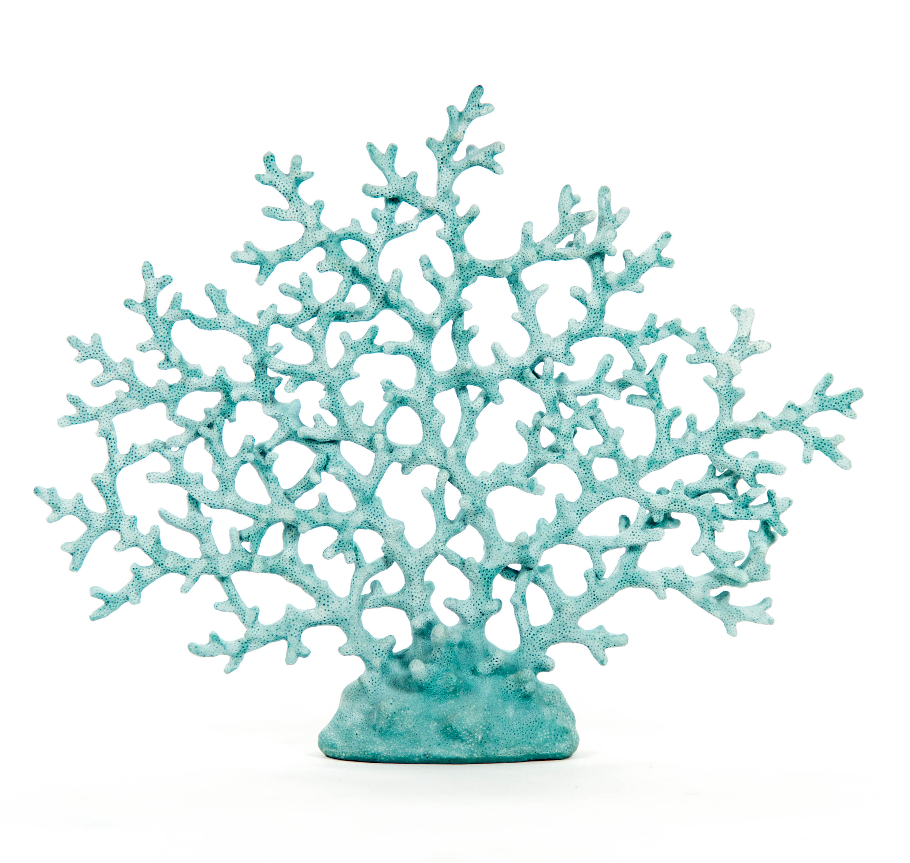 Zentique Decorative Coral & Reviews | Wayfair