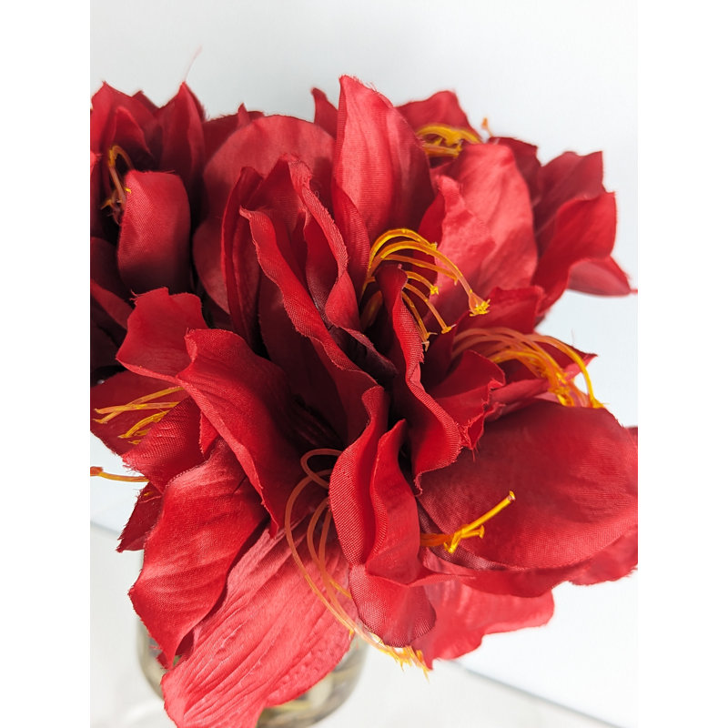 Amaryllis, arrangement floral dans un vase