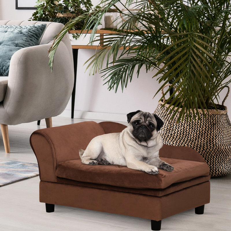 Petit lit pour chien avec compartiment de rangement caché, coussin en mousse de 3 po, moderne, confortable, animal de compagnie brun pour les petites races, rangement, doux et moelleux,