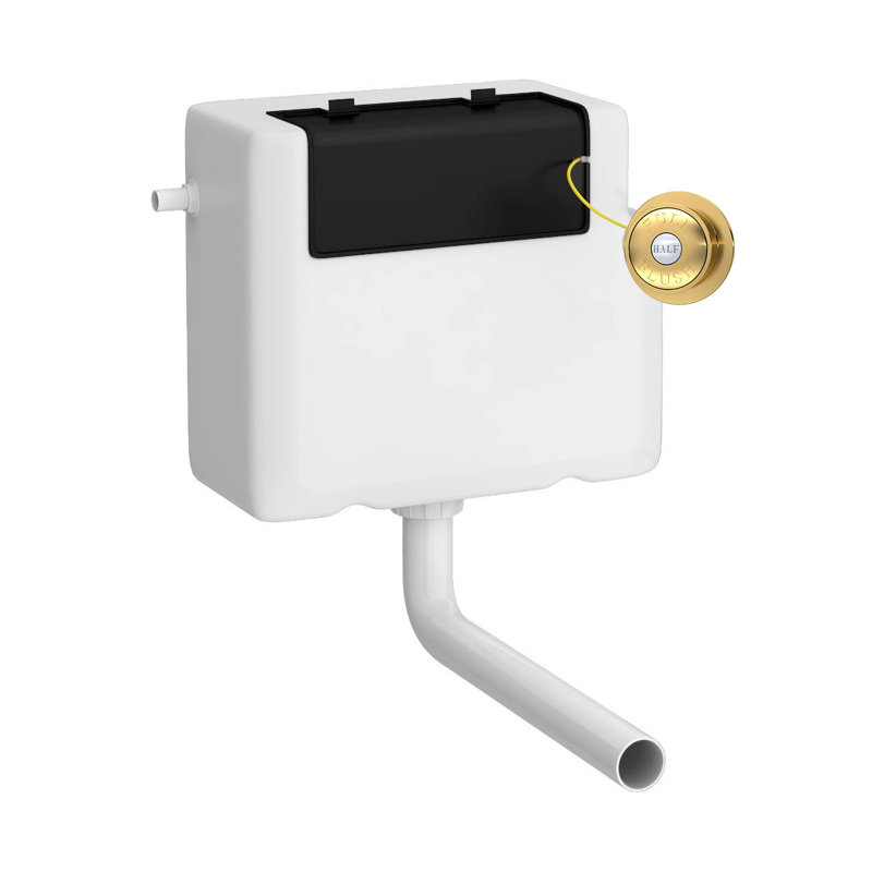 Universal Access Cistern & Chrome Traditional Flush Plate, Brushed Brass
