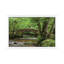 Adam Burton - Print on Canvas-34181213-89233664
