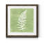 Reproduction sur toile encadrée « Forest fougères III-Premium »-55832216-55786043-55786951