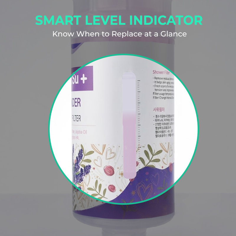 [Mer Morte] Filtre de douche externe Vitamine C Ionpolis pour la neutralisation du pH avec gel à haute concentration en Vitamine C