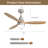 Kemp 52" 3-Solid Wood Blade Propeller Modern Ceiling Fan With LED Lights, Remote-1189929297