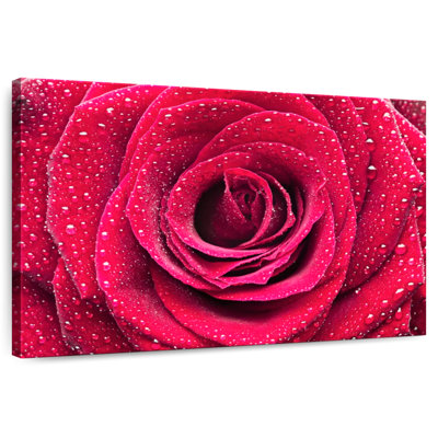 Harnek Dewy Red Rose Petals