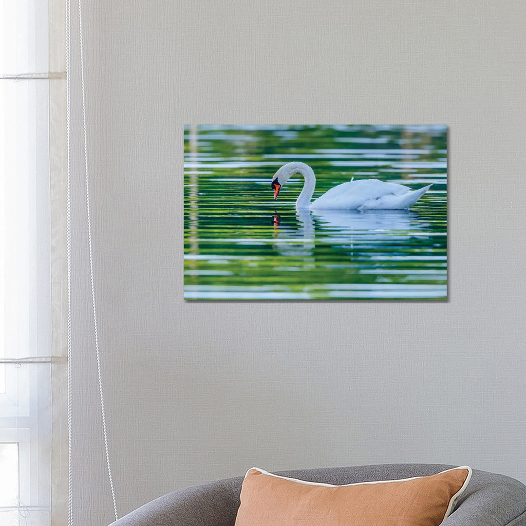 Morning Reflection by David Gardiner - Photograph on Canvas