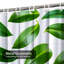 Rideau de douche Collage-608720849