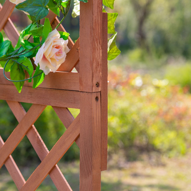 Wooden Trellis, Orange