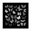 Animaux, papillons noirs et blancs sur toile-448563971