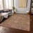 Segin Area Rug with Non-Slip Backing-109484038