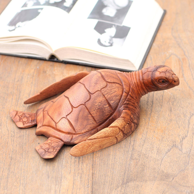 Tortue de mer élégante Georgiana