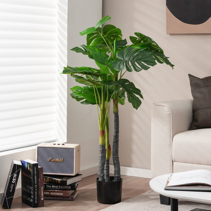 47,5 plante
