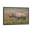 « black rhino », reproduction d’impression sur toile-33109162-72404494-72404496