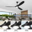 Ceiling Fan with LED Lights-1192091153-1192091152