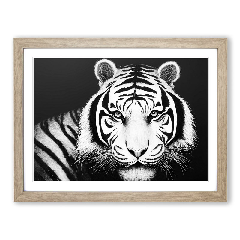 Monochrome Tiger Vol.3 - Framed Print, 34cm H x 46cm W x 2cm D, Oak Framed