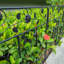 Cambria 80cm H x 60cm W Included